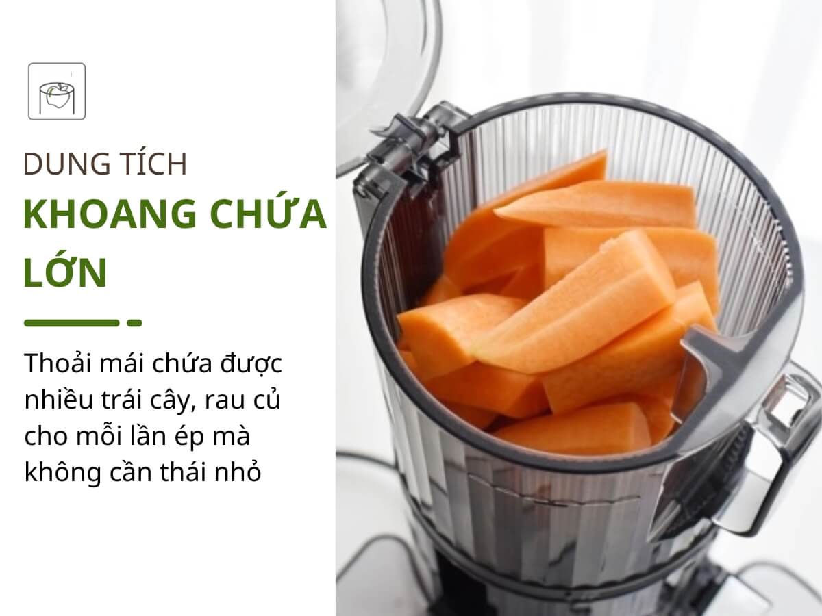 Khoang chứa to, không cần cắt nhỏ trái cây Khoang chứa to, không cần cắt nhỏ trái cây