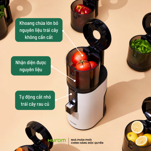 Máy ép chậm Hurom H400