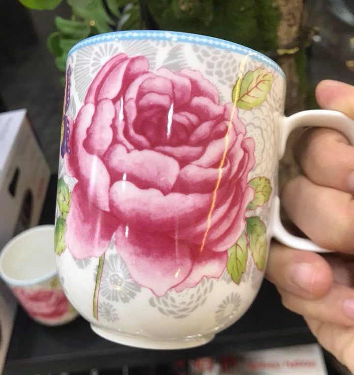 LY SỨ VILLEROY & BOSH