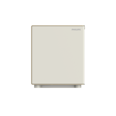 Két sắt Philips SBX300