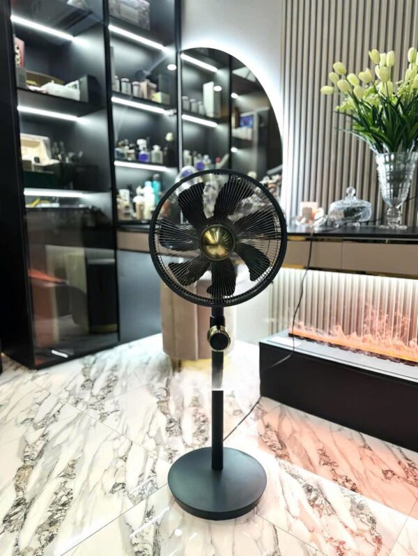 Quạt cây Stylies Uranus màu đen