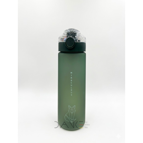 Bình nước Renga Saga Loop nhựa Tritan 730ml