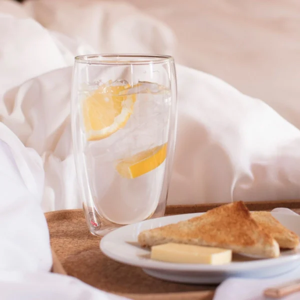 Bộ 2 ly thủy tinh 2 lớp Bodum Pavina 450ml 4560-10