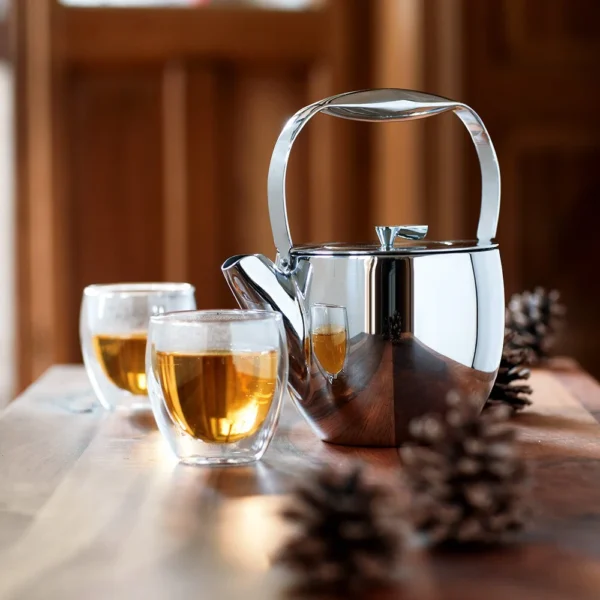 Bộ 2 ly thủy tinh 2 lớp Bodum Pavina 250ml 4558-10