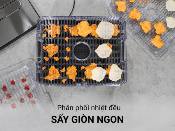 Máy Sấy Thực Phẩm DH450
