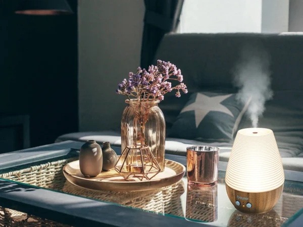 Máy Phun Tinh Dầu Beurer LA 40